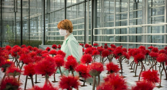 'Little Joe': El cine alegórico de Jessica Hausner