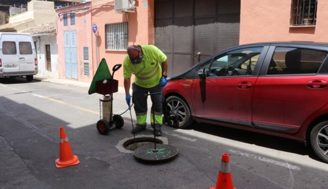 Torrent intensifica les actuacions per a combatre i eliminar al mosquit tigre

