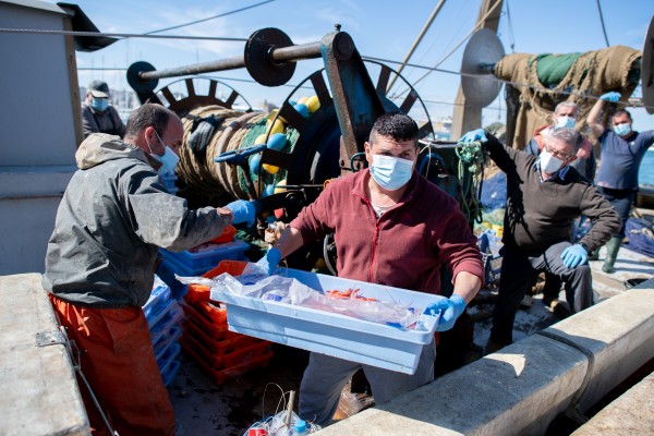 La paradoja de la pesca en cuarentena