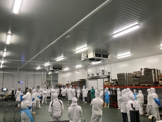Así cogen fuerzas los trabajadores de Gourmet