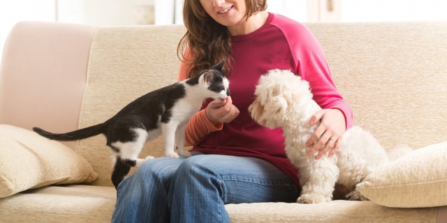 El 74% de los españoles que tiene perro o gato pasa mejor el confinamiento, según fundación Affinity