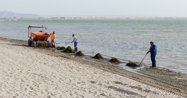 Turno para pisar la arena o acotar el espacio común ¿cómo será la vuelta a las playas?
