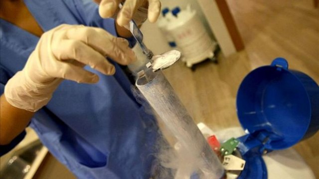 Casi uno de cada diez niños españoles nace por reproducción asistida