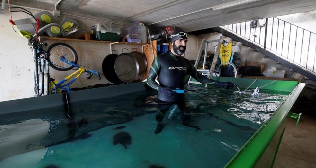 El triatleta Isidro Benavent aprovecha un contenedor como piscina para poder entrenar
