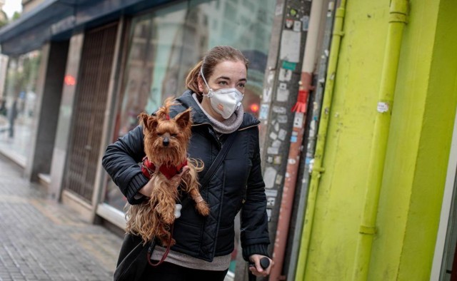 Coronavirus y mascotas: información para los dueños
