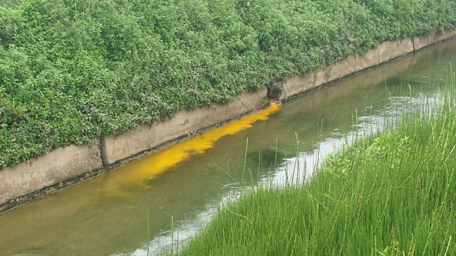 Orihuela constata un vertido directo contaminante con parámetros ocho veces superior al permitido