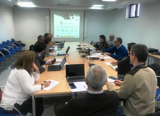 El proyecto Citrustech promueve la mecanización de la recolección de naranja