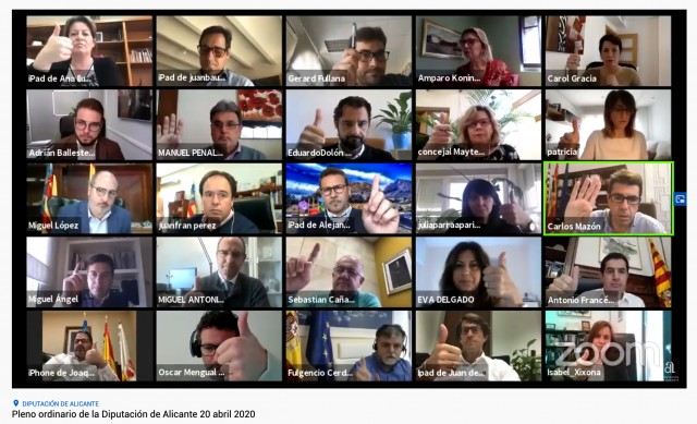 Todos los grupos de la Diputación de Alicante acuerdan elaborar un plan de impulso económico  