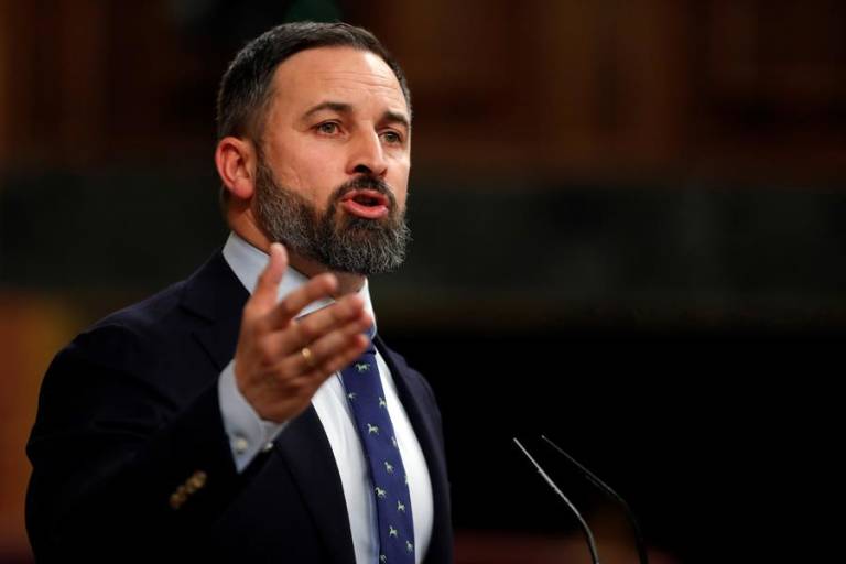 El presidente de Vox, Foto: EMILIO NARANJO (EFE) - 