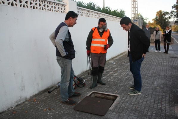 
Castelló valora en 200.000 euros la ampliación de los tratamientos antimosquitos