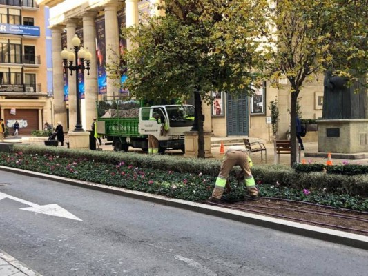 Hacienda anula la contrata de zonas verdes de Alicante: el bipartito se aferra a sus alegaciones