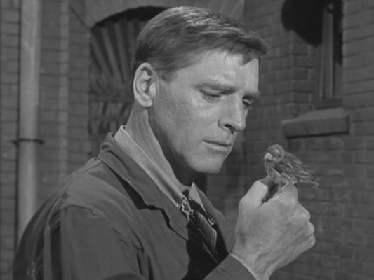 Cine Fórum: un pájaro en Alcatraz y  unos postres con cadáver