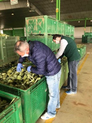 Entregan 3.000 mascarillas a los trabajadores agrícolas para evitar la propagación del virus