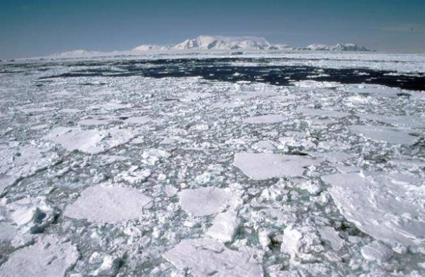 El cambio climático causará pérdidas de biodiversidad repentinas y 