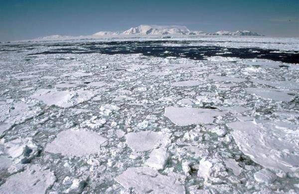 Vista de la Antártida y su deshielo producido por el cambio climático. Foto: EFE - 