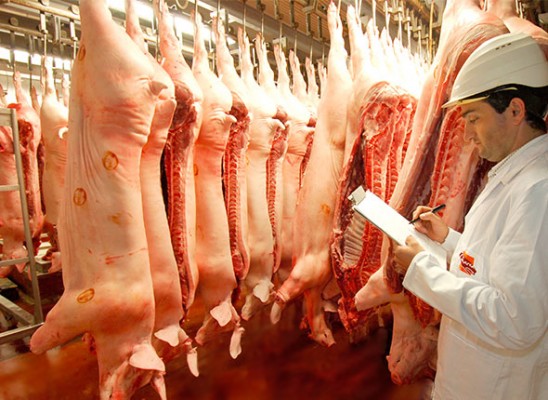 China autoriza a La Comarca a iniciar la exportación de carne y productos porcinos