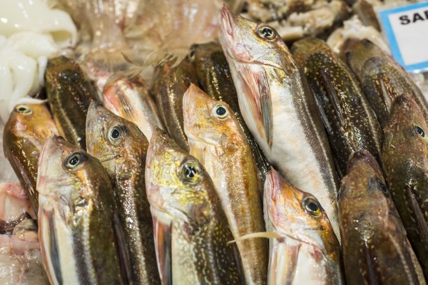 Agenda en Cuarentena. Los panes y los peces