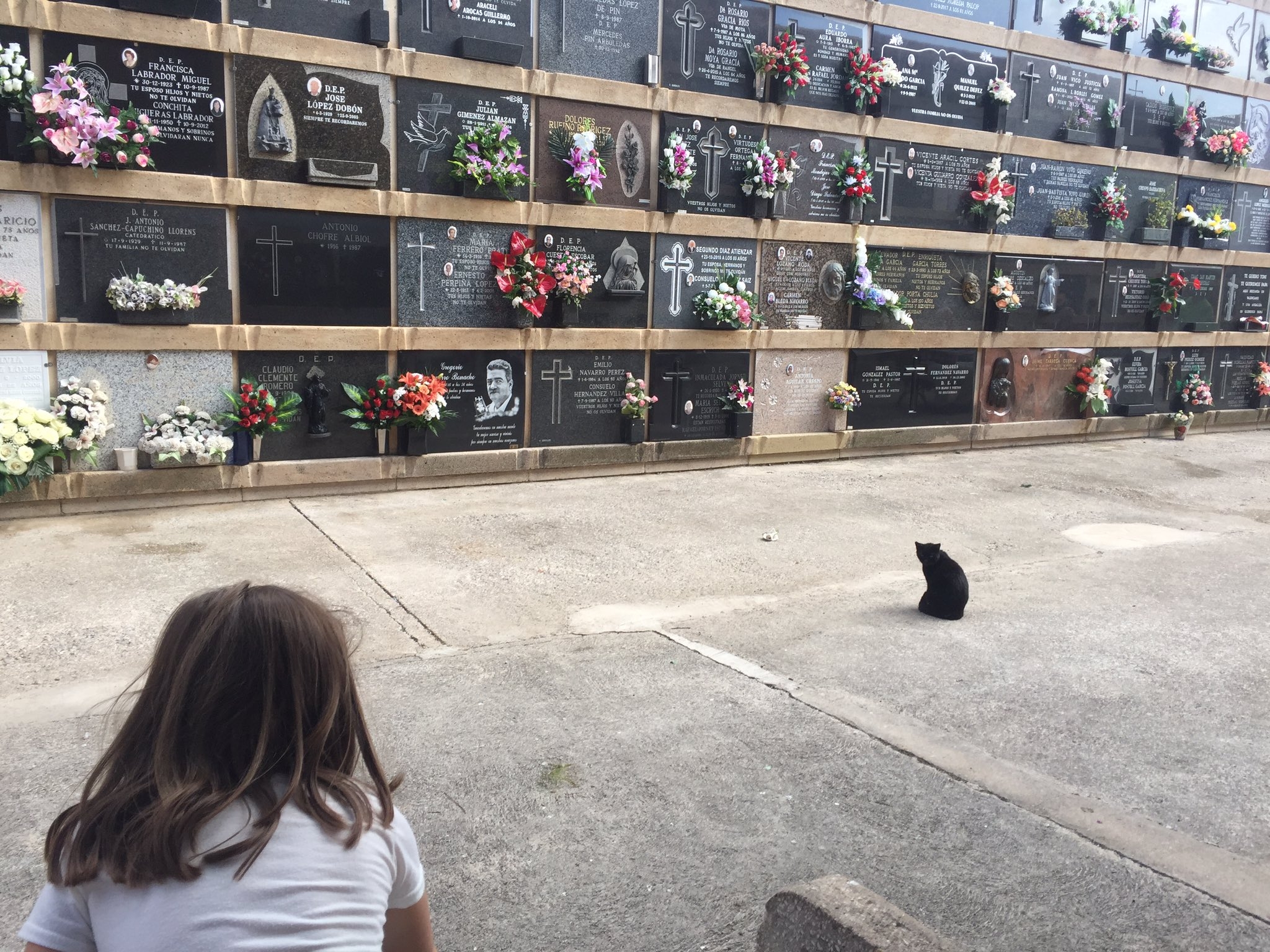 ¡Qué solos se quedan los muertos!