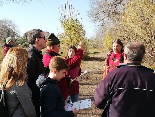 El Grup Au d'Ornitologia pide a la Diputación que destine su subvención a ayudar por el Covid-19