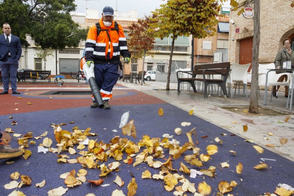 Alicante impulsa el cambio de los 'árboles sucios' que plantaron los urbanizadores para ahorrar 