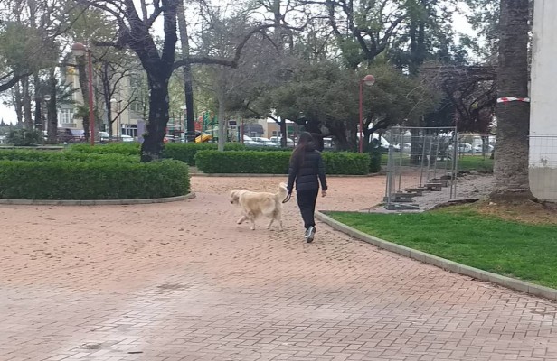 La Fiscalía de Murcia también investiga la adopción fraudulenta de perros para salir a la calle