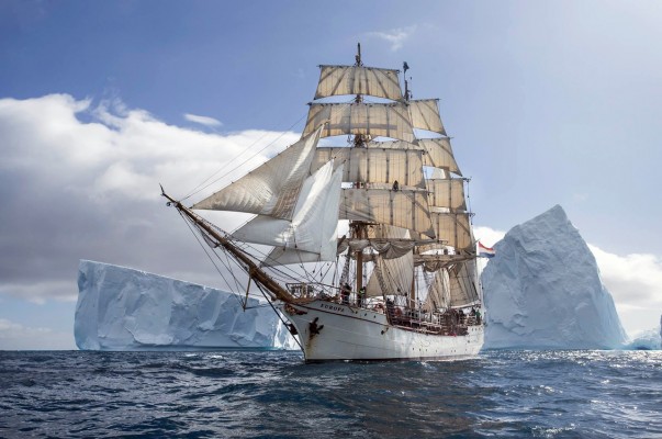 El bicho y el mar
