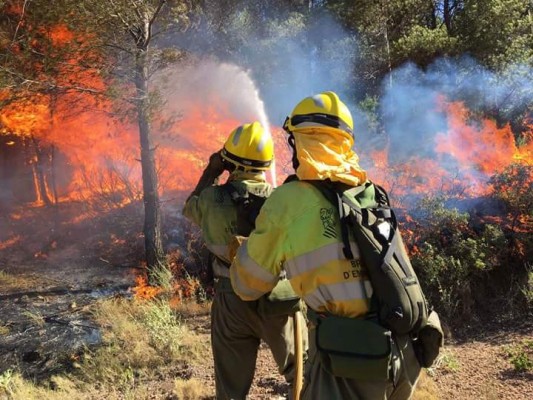 Seis medios aéreos más para extinguir el fuego que ha arrasado 1.289 hectáreas en la Calderona