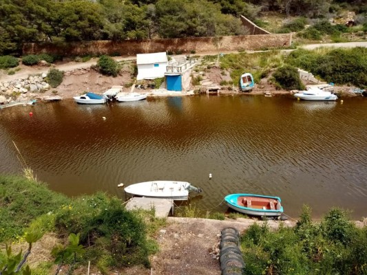 El agua dulce atrapada tras las tormentas convierte la Algameca Chica en un foco de insalubridad