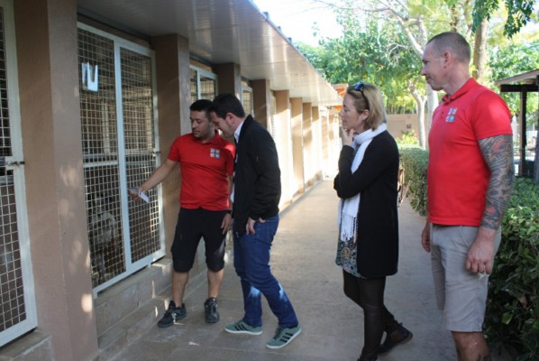 Castelló cuidarà al centre zoològic els animals adoptats i els abandonats durant l’estat d’alarma