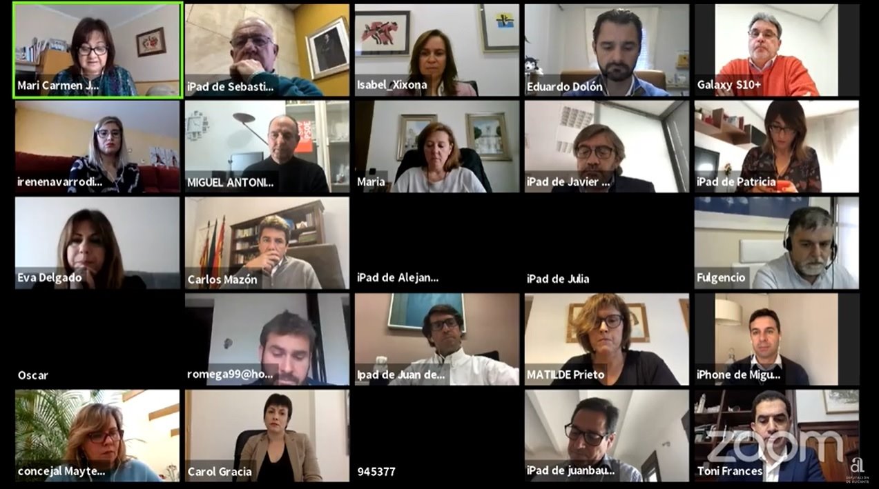 Los diputados provinciales en la sesión telemática mantenida este miércoles. - 