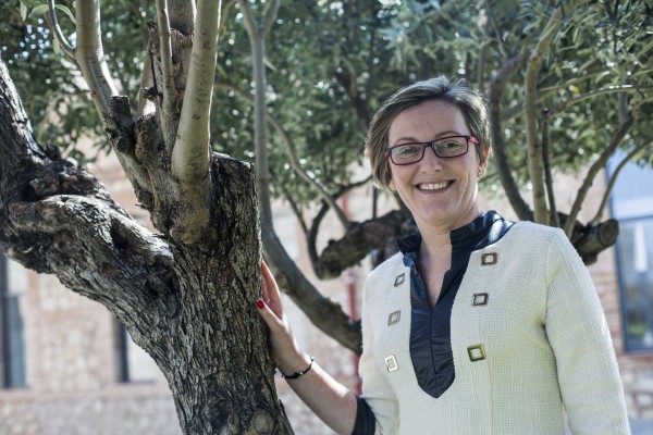 El Consell rebaja la ley que prevé expropiaciones de suelo agrario ante las advertencias del CJC