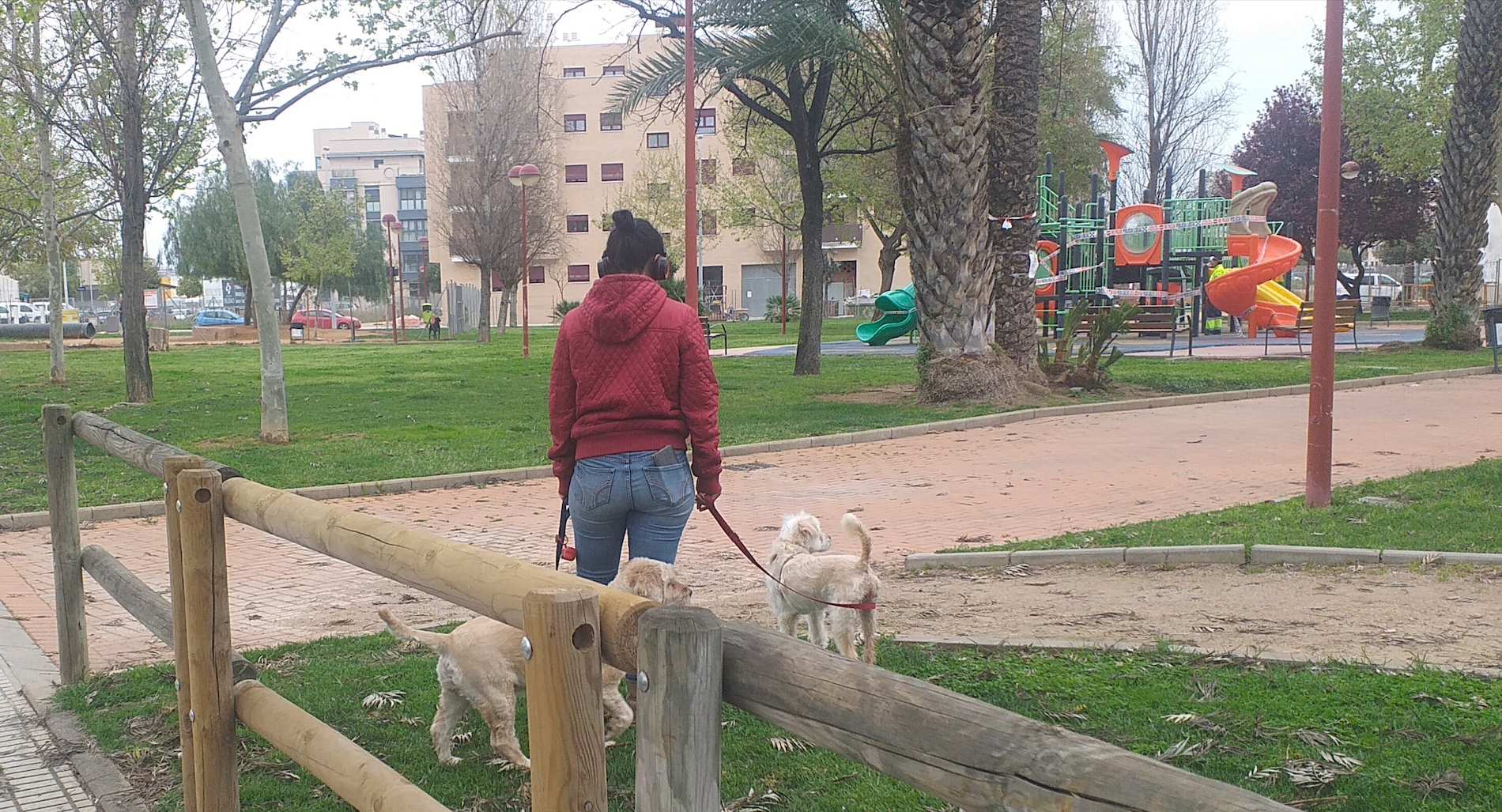 Una mujer escucha música mientras está acompañada por sus perros en un parque. - 