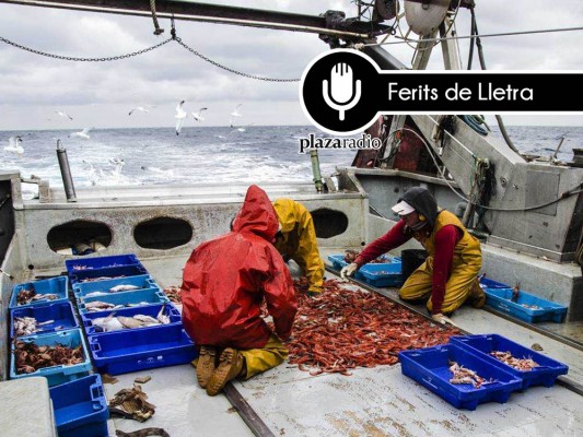 Ferits de Lletra: Pescaturisme, conéixer i estimar la mar