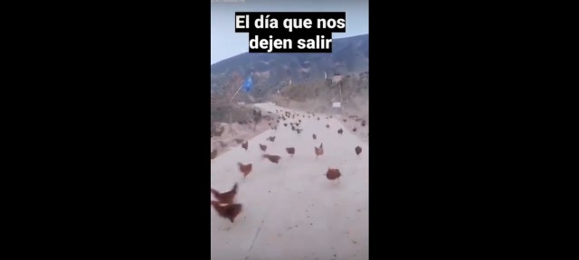 El futuro que imaginamos cuando se pueda salir a la calle de nuevo