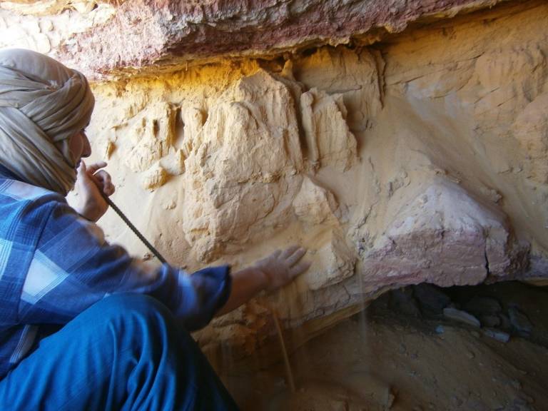 Un fósil revela nuevas ideas sobre cómo evolucionó la mano humana desde las aletas de un pez 