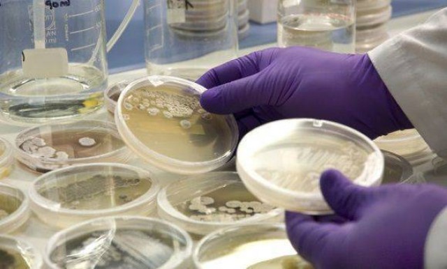 PharmaMar, antídoto contra el coronavirus