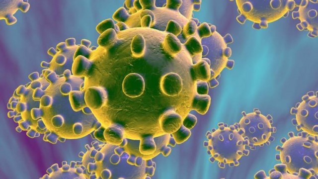 Impacte del coronavirus al teixit empresarial valencià
