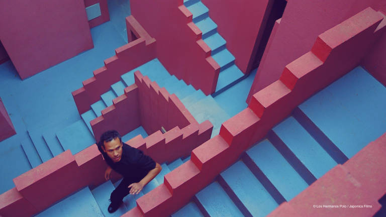 The Mistery of Pink Flamingos . - 