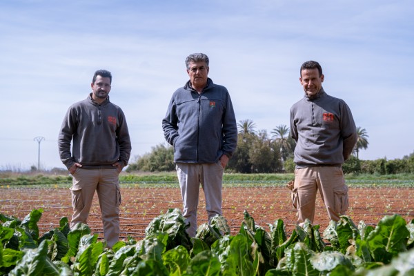 Saifresc. Agricultra ecológica desde l'Horta Sud con venta directa