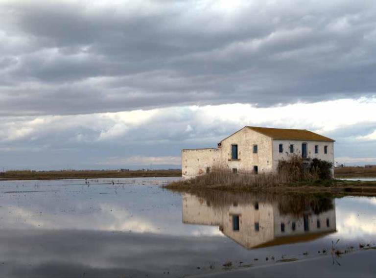 Una casa de agricultores en medio de la Albufera. Foto: BOSCO DIES.  - 