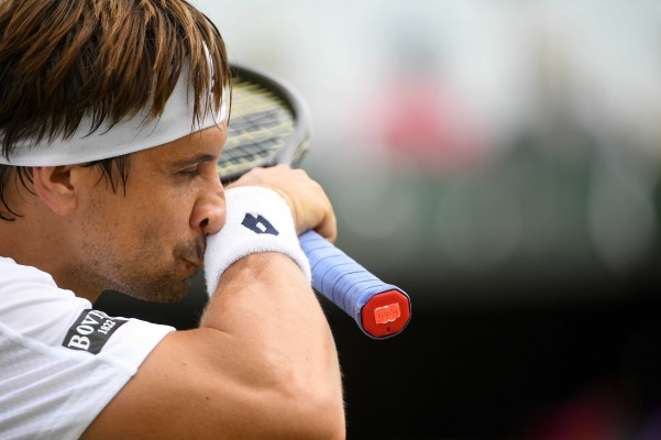 Ferrer: 