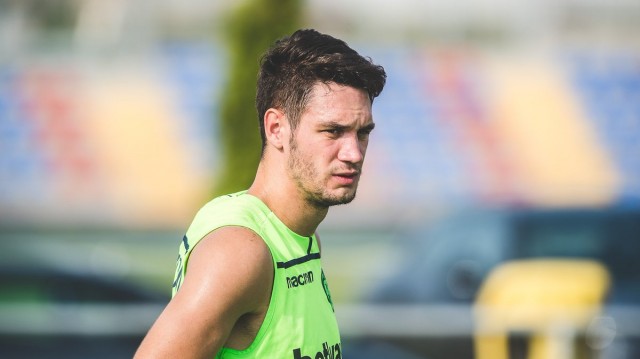 Vukcevic: 