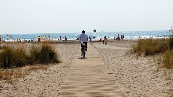 Senderisme, tallers o jornades de divulgació per posar en valor el patrimoni verd de Castelló  