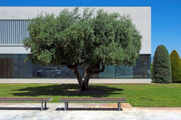Instituto Bernabeu recibe el certificado de calidad de sistemas de calidad ambiental ISO 14001:2015