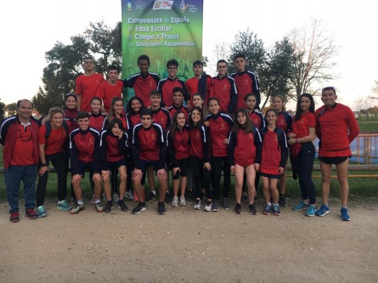 CESA Cross