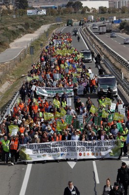 El campo alicantino exhibe su malestar: dos mil agricultores cortan la A-31 para subir los precios en origen