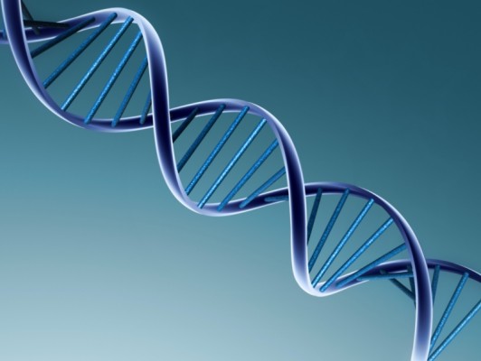 Científicos descubren genes promotores de la obesidad