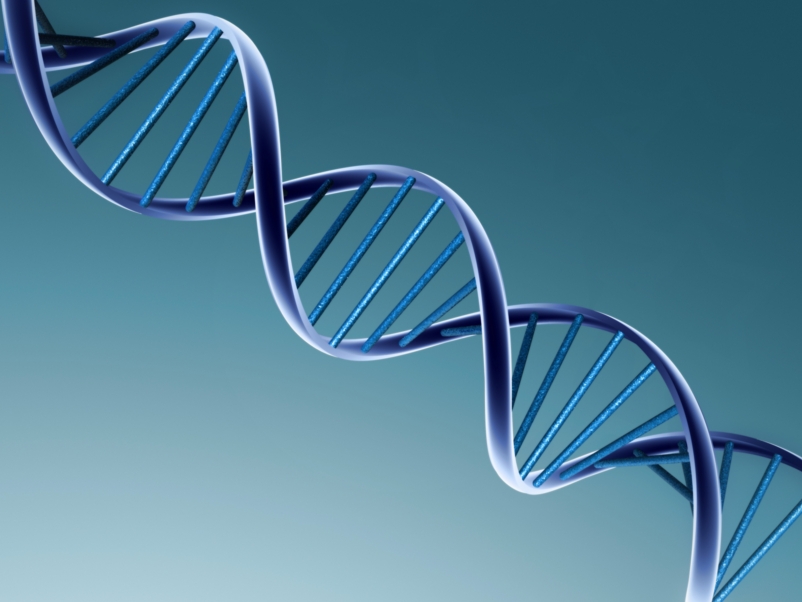 Científicos descubren genes promotores de la obesidad