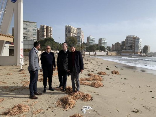 Alicante pide al Gobierno una línea especial de financiación para paliar los daños del temporal Gloria