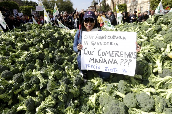 Llevamos 30 años cobrando lo mismo por las lechugas, ¿quién aguanta eso?